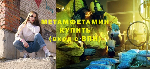 сатива Козловка
