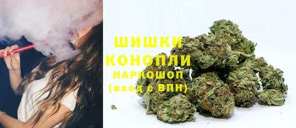 меф Арсеньев