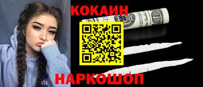 шишки Дубна
