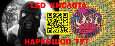 jwh Донецк