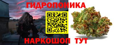 jwh Донецк