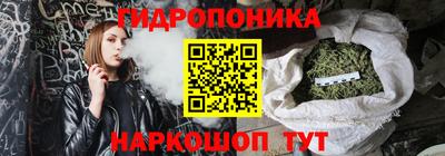шишки Дубна