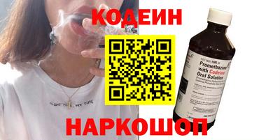 шишки Дубна