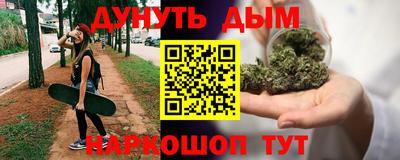 шишки Дубна