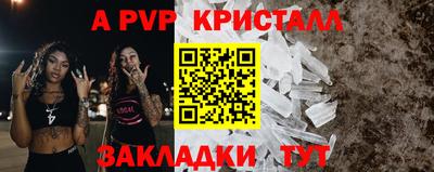 шишки Дубна