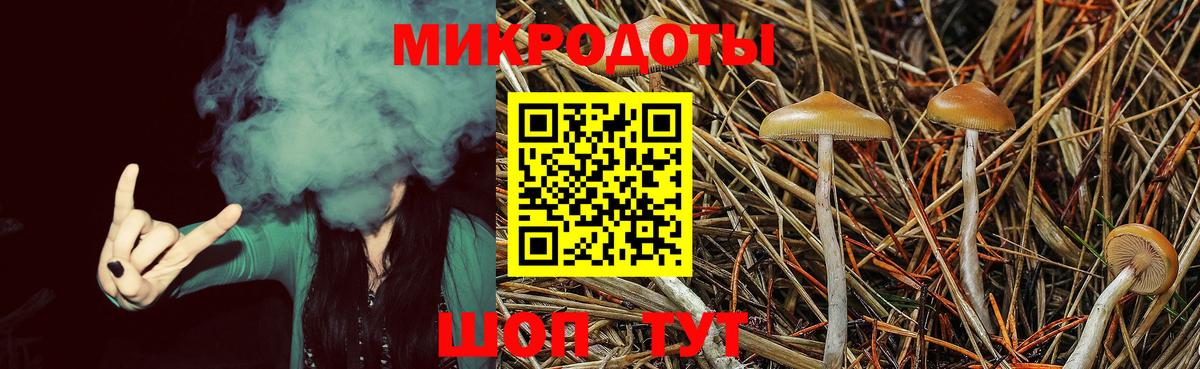 Псилоцибиновые грибы Cubensis Мурманск