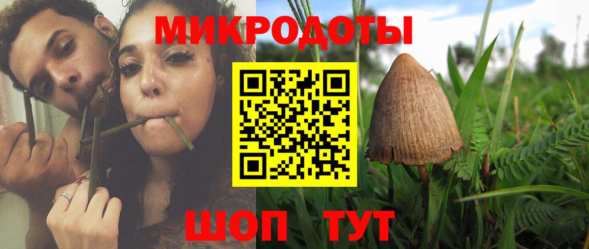 Псилоцибиновые грибы Magic Shrooms  Псилоцибиновые грибы Psilocybine cubensis  Вход с VPN  Мурманск 